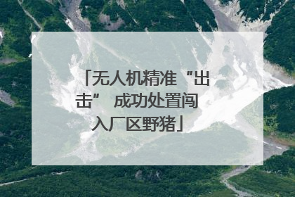 无人机精准“出击” 成功处置闯入厂区野猪