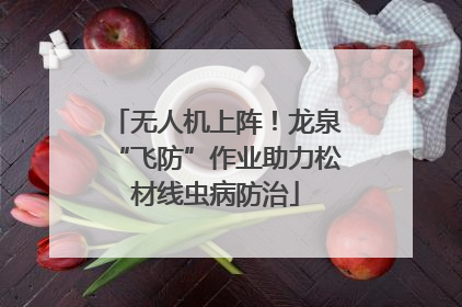 无人机上阵！龙泉“飞防”作业助力松材线虫病防治