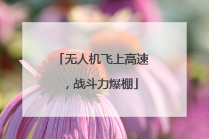 无人机飞上高速，战斗力爆棚