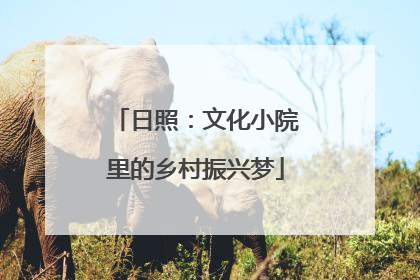 日照：文化小院里的乡村振兴梦