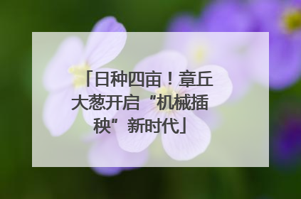 日种四亩！章丘大葱开启“机械插秧”新时代