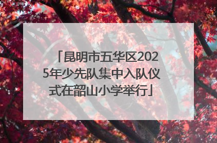 昆明市五华区2025年少先队集中入队仪式在韶山小学举行