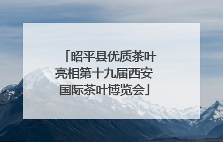 昭平县优质茶叶亮相第十九届西安国际茶叶博览会