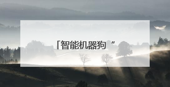 智能机器狗“奔跑”在深圳这片创业热土上