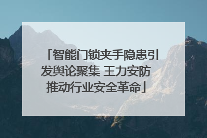 智能门锁夹手隐患引发舆论聚集 王力安防推动行业安全革命