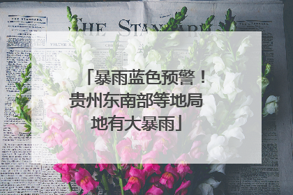 暴雨蓝色预警！贵州东南部等地局地有大暴雨