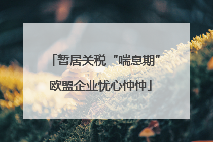 暂居关税“喘息期” 欧盟企业忧心忡忡