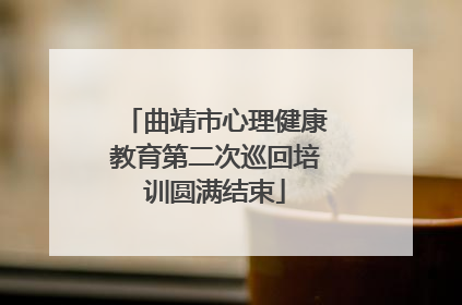曲靖市心理健康教育第二次巡回培训圆满结束