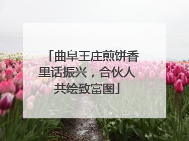 曲阜王庄煎饼香里话振兴，合伙人共绘致富图