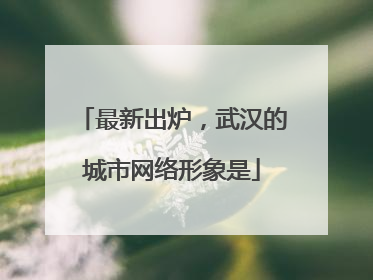 最新出炉，武汉的城市网络形象是