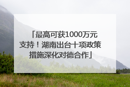 最高可获1000万元支持！湖南出台十项政策措施深化对德合作