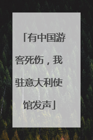有中国游客死伤，我驻意大利使馆发声