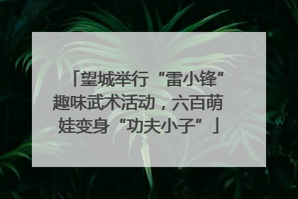 望城举行“雷小锋”趣味武术活动，六百萌娃变身“功夫小子”