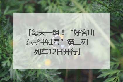 每天一组！“好客山东·齐鲁1号”第二列列车12日开行