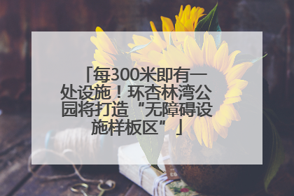每300米即有一处设施！环杏林湾公园将打造“无障碍设施样板区”