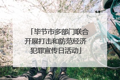 毕节市多部门联合开展打击和防范经济犯罪宣传日活动