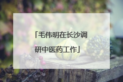 毛伟明在长沙调研中医药工作