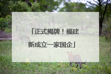 正式揭牌！福建新成立一家国企