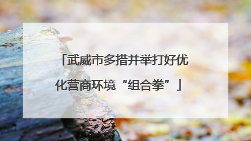 武威市多措并举打好优化营商环境“组合拳”