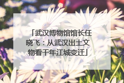 武汉博物馆馆长任晓飞：从武汉出土文物看千年江城变迁