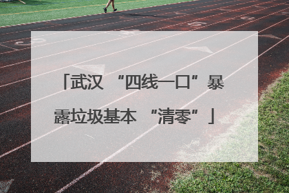 武汉 “四线一口”暴露垃圾基本 “清零”