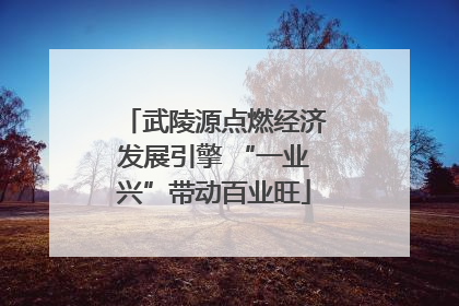 武陵源点燃经济发展引擎 “一业兴”带动百业旺
