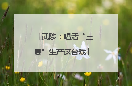 武陟：唱活“三夏”生产这台戏
