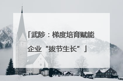 武陟：梯度培育赋能企业“拔节生长”