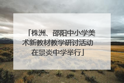 株洲、邵阳中小学美术新教材教学研讨活动在景炎中学举行