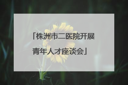 株洲市二医院开展青年人才座谈会