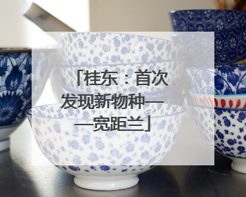 桂东：首次发现新物种——宽距兰