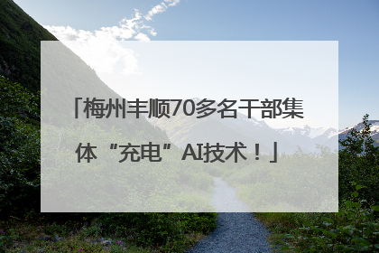 梅州丰顺70多名干部集体“充电”AI技术！