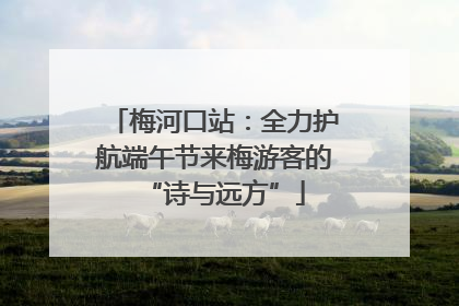 梅河口站：全力护航端午节来梅游客的“诗与远方”