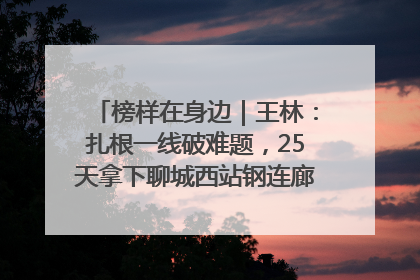 榜样在身边｜王林：扎根一线破难题，25天拿下聊城西站钢连廊“硬核”工程