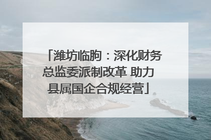潍坊临朐：深化财务总监委派制改革 助力县属国企合规经营