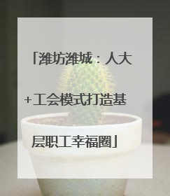潍坊潍城：人大+工会模式打造基层职工幸福圈