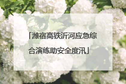 潍宿高铁沂河应急综合演练助安全度汛