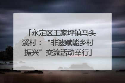 永定区王家坪镇马头溪村：“非遗赋能乡村振兴”交流活动举行