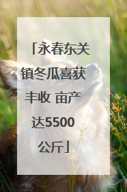永春东关镇冬瓜喜获丰收 亩产达5500公斤