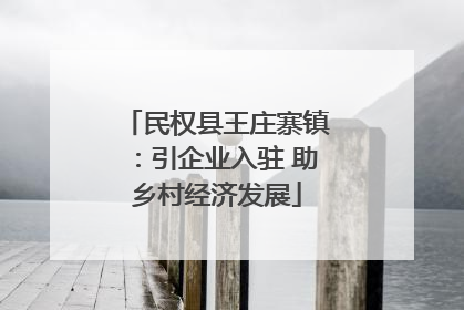 民权县王庄寨镇：引企业入驻 助乡村经济发展