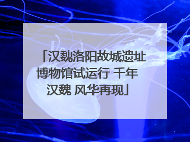 汉魏洛阳故城遗址博物馆试运行 千年汉魏 风华再现