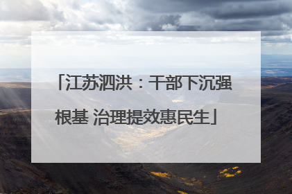 江苏泗洪：干部下沉强根基 治理提效惠民生
