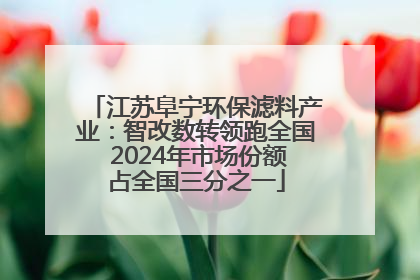江苏阜宁环保滤料产业：智改数转领跑全国 2024年市场份额占全国三分之一