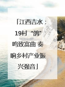 江西吉水：19村“鸽”鸣致富曲 奏响乡村产业振兴强音