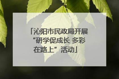 沁阳市民政局开展“研学促成长 多彩在路上”活动