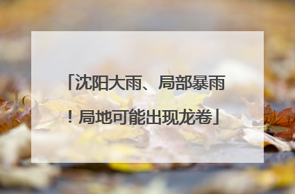 沈阳大雨、局部暴雨！局地可能出现龙卷