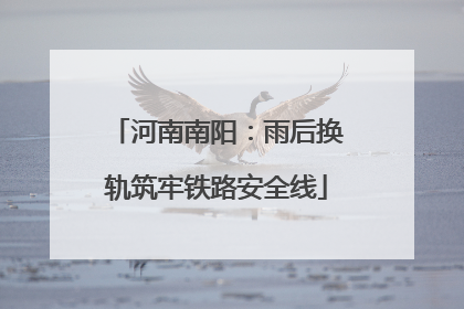 河南南阳：雨后换轨筑牢铁路安全线