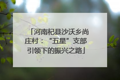 河南杞县沙沃乡尚庄村：“五星”支部引领下的振兴之路