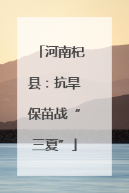 河南杞县：抗旱保苗战“三夏”