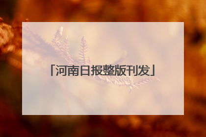 河南日报整版刊发